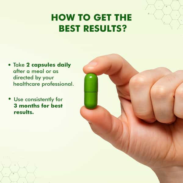 Dr. Morepen Veg Omega 3 6 7 9 Capsules 500Mg For Healthy Heart | Brain | Joints|60 Capsules | 2 Pack