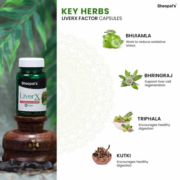 Sheopal's Liver X Factor Ayurvedic Fatty Liver Supplement | 60 Capsules | Pack Of 3