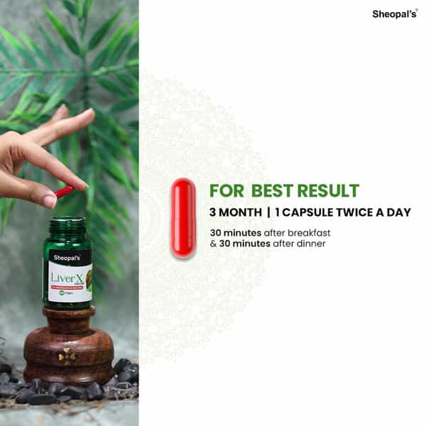 Sheopal's Liver X Factor Ayurvedic Fatty Liver Supplement | 60 Capsules | Pack Of 3