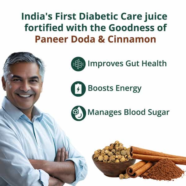 Vansaar 45+ Diab Balance Juice | Paneer Doda & Cinnamon | Reduce Blood Sugar | Boosts Insulin - 1.5L