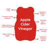 Purna Gummies Sugar Free Apple Cider Vinegar Weight Loss Gummies - 30