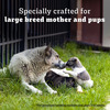 Pedigree Pro Mother & Pup Starter Large Breed | 10 Kg Dry Dog Food | Vet Trusted Brand (3-12 Weeks)