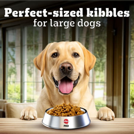 Pedigree Pro Mother & Pup Starter Large Breed | 10 Kg Dry Dog Food | Vet Trusted Brand (3-12 Weeks)