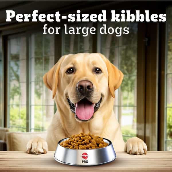 Pedigree Pro Mother & Pup Starter Large Breed | 10 Kg Dry Dog Food | Vet Trusted Brand (3-12 Weeks)