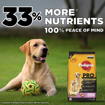 Pedigree Pro Mother & Pup Starter Large Breed | 10 Kg Dry Dog Food | Vet Trusted Brand (3-12 Weeks)