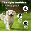 Pedigree Pro Mother & Pup Starter Large Breed | 10 Kg Dry Dog Food | Vet Trusted Brand (3-12 Weeks)