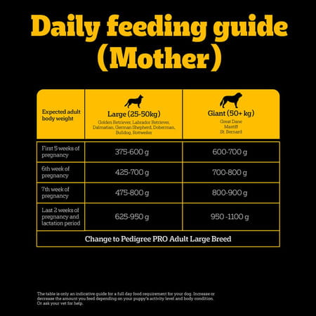 Pedigree Pro Mother & Pup Starter Large Breed | 10 Kg Dry Dog Food | Vet Trusted Brand (3-12 Weeks)