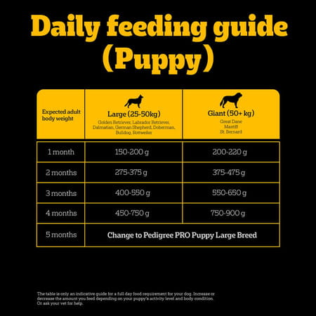 Pedigree Pro Mother & Pup Starter Large Breed | 10 Kg Dry Dog Food | Vet Trusted Brand (3-12 Weeks)