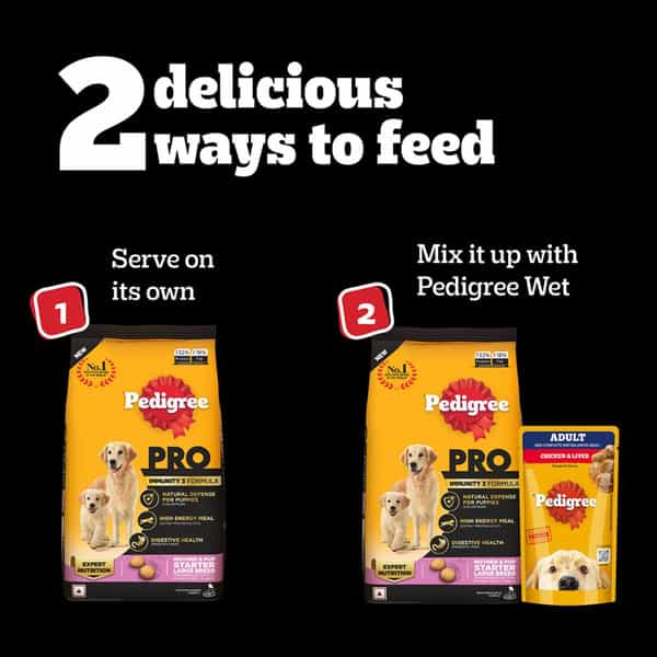 Pedigree Pro Mother & Pup Starter Large Breed | 10 Kg Dry Dog Food | Vet Trusted Brand (3-12 Weeks)