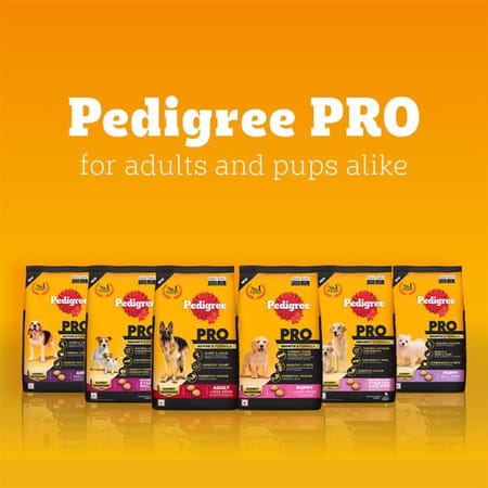 Pedigree Pro Mother & Pup Starter Large Breed | 10 Kg Dry Dog Food | Vet Trusted Brand (3-12 Weeks)