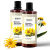 Shampoo With Arnica 500 Ml Pack Of 2