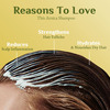 Shampoo With Arnica 500 Ml Pack Of 2
