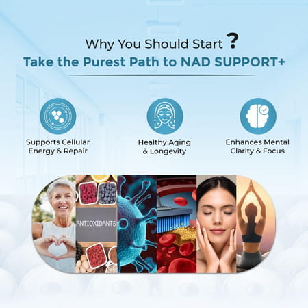 Tq Wellness Nad Support + 30 Capsule