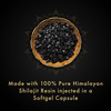 Dr. Vaidya's Herbo24turbo Shilajit Resin Softgel Capsules Pack Of 2