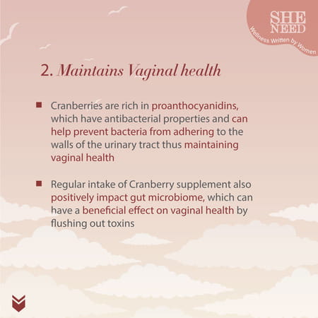 Sheneed Crave For Cranberry Supplements (400mg) - Supports Uti & Digestive Health- 60 Capsules