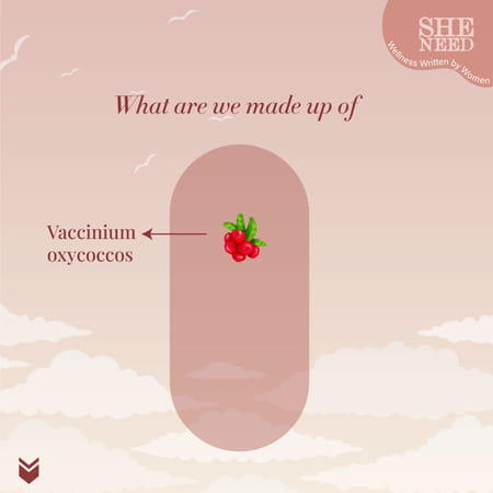 Sheneed Crave For Cranberry Supplements (400mg) - Supports Uti & Digestive Health- 60 Capsules