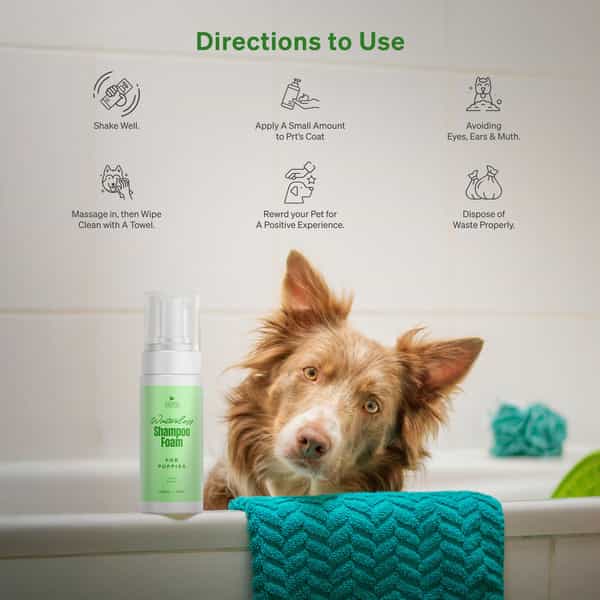 Aroma Groom Foaming Waterless Pet Shampoo - Puppies 150 Ml