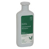 Bbb Better Body Bombay Tea Tree & Kafir Anti-Dandruff Shampoo | For Dull & Thinning Hair (300Ml)