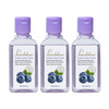 Pearldew Sanitizer (Blueberry) | Aloe & Neem | Paraben Free | 60Ml (Pack Of 12)