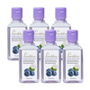 Pearldew Sanitizer (Blueberry) | Aloe & Neem | Paraben Free | 60Ml (Pack Of 12)