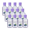 Pearldew Sanitizer (Blueberry) | Aloe & Neem | Paraben Free | 60Ml (Pack Of 12)