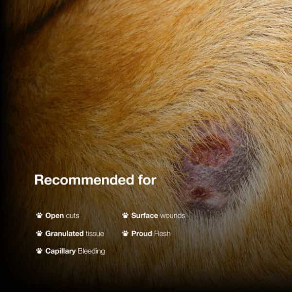 Sureklot Rapid Action Wound Powder For Animals (Pack Of 4) - 40 Ml