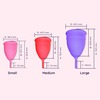 A Perfect Self-Care Combo(Sanfe Medium Menstrual Cup + Intimate Wash 100 Ml)