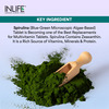 Inlife Spirulina Tablet 2000 Mg | Green Superfood Supplement | Protein Fiber Antioxidants - 120N