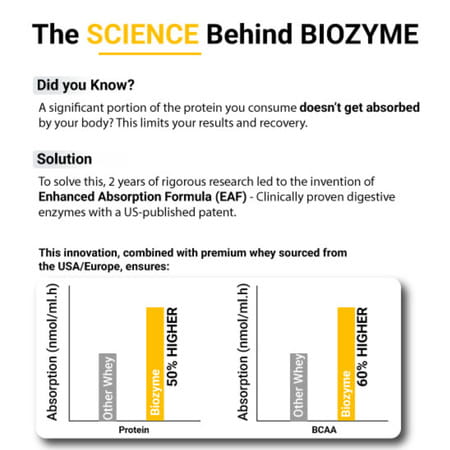 Muscleblaze Biozyme Performance Whey (Rich Chocolate | 500 G) With Shaker (650ml)