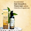 The Skin Story 100% Natural Ayurvedic Hair Oil With Amla For Hair Growth | Reduced Hair Fall 100ml