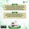 Dr. Willmar Schwabe India Klimaktolan 20Gm