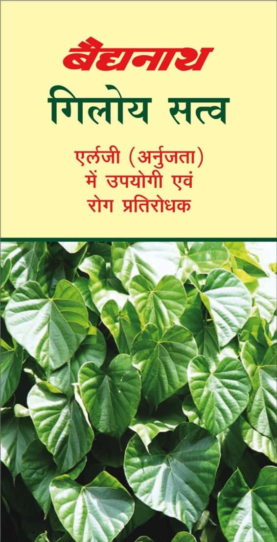 Baidyanath Giloy Satwa - 50 Gm