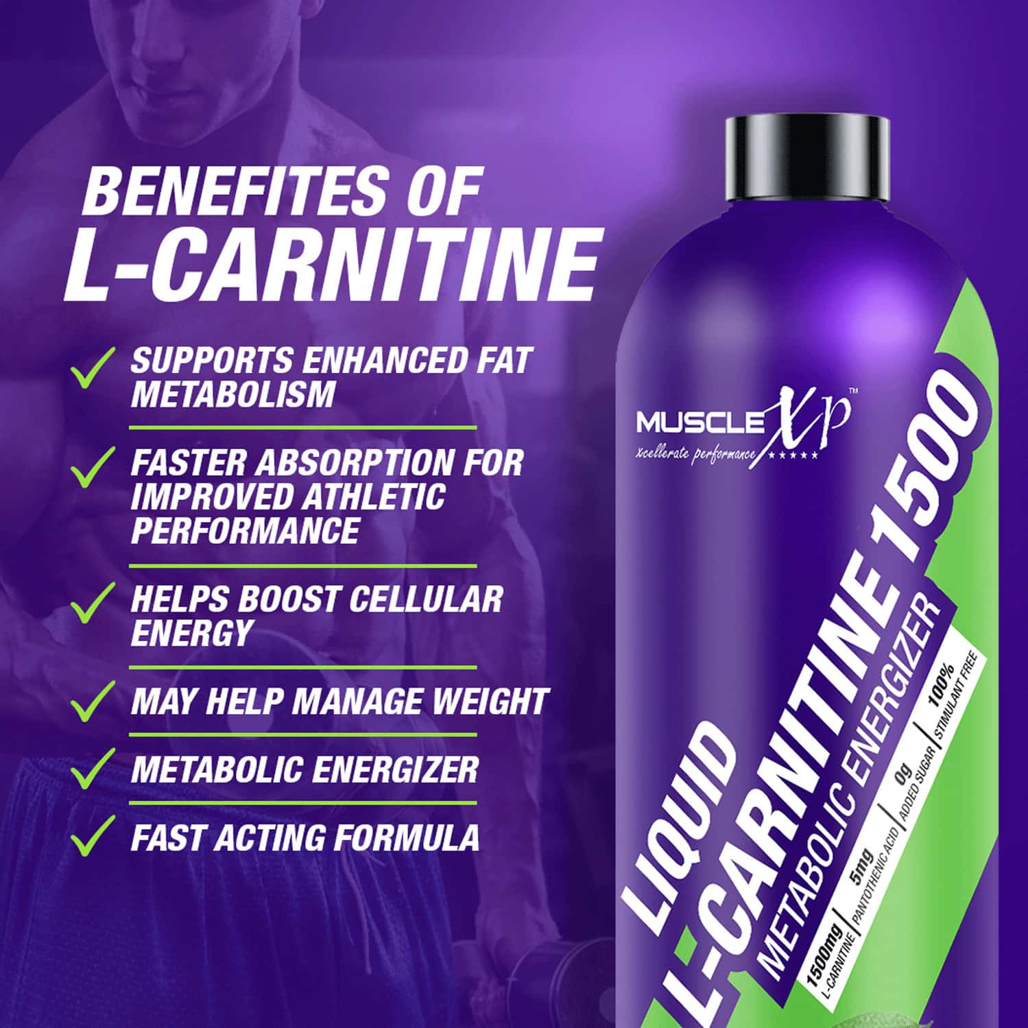 Buy MUSCLEXP LIQUID LCARNITINE 1500 METABOLIC ENERGIZER NO ADDED SUGAR