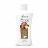 Oxyglow Herbals Shea Butter Lotion 500Ml (Pack Of 1)