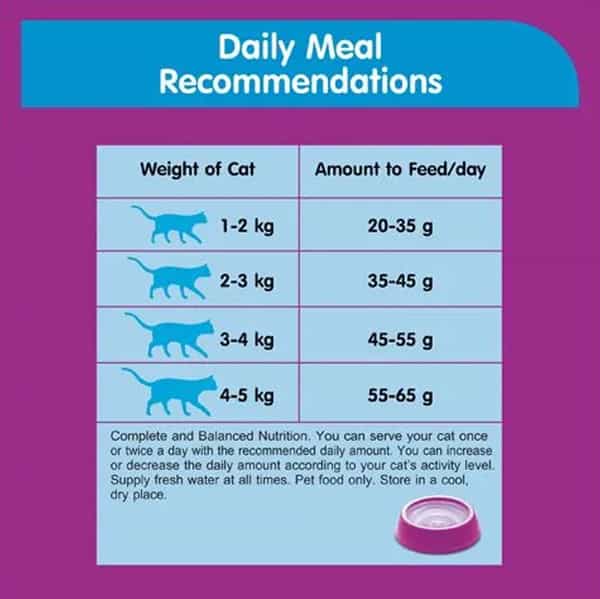 Whiskas Pocket Ocean Fish Cat Food 480 Gm