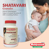 Baidyanath Asli Ayurved Shatavari Granules | 500 Gm | Natural Galactagogue