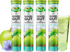 Plix Good Gut Pre+Probiotic 15 Effervescent Tablets Pack Of 1 Bottle Green Apple