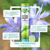 Plix Good Gut Pre+Probiotic 15 Effervescent Tablets Pack Of 1 Bottle Green Apple