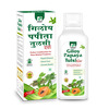 Prime Giloy Papaya Tulsi Ras | Immunity Booster & Platelets Enhancer Herbal Juice - 500Ml