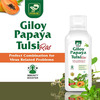 Prime Giloy Papaya Tulsi Ras | Immunity Booster & Platelets Enhancer Herbal Juice - 500Ml