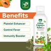 Prime Giloy Papaya Tulsi Ras | Immunity Booster & Platelets Enhancer Herbal Juice - 500Ml