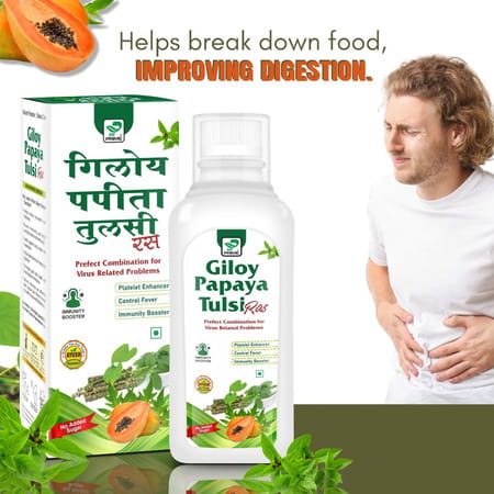 Prime Giloy Papaya Tulsi Ras | Immunity Booster & Platelets Enhancer Herbal Juice - 500ml