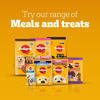 Pedigree Rodeo Duos (4+ Months) Dog Treats | Chicken & Bacon Flavour | 123 G (Pack Of 10)