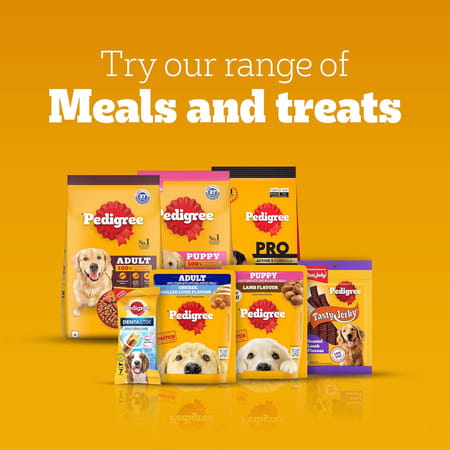 Pedigree Rodeo Duos (4+ Months) Dog Treats | Chicken & Bacon Flavour | 123 G (Pack Of 10)