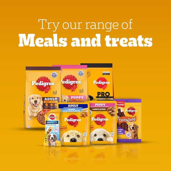 Pedigree Rodeo Duos (4+ Months) Dog Treats | Chicken & Bacon Flavour | 123 G (Pack Of 10)