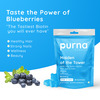 Purna Gummies 5000mcg Biotin Blueberry Gummies With Vitamin B12 For Hair Skin & Nail 30 Gummies