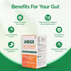 Aora Gut-Guard Probiotic Capsules|Snz Tribac Multi-Strain Probiotics With Fos Prebiotics|30 Capsules