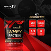 Musclexp 100% Whey Protein With Digestive Enzyme - 1Kg Pouch | Double Chocolate (Pack Of 2)