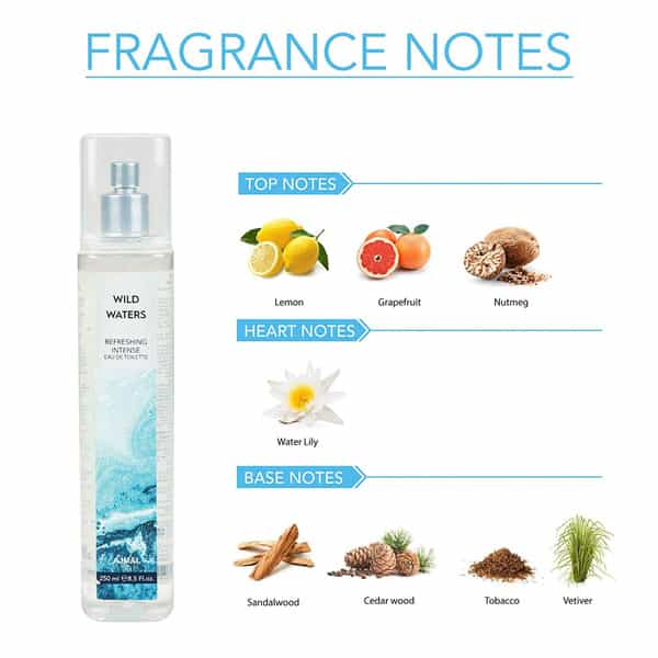 Ajmal Ascend Edp 100Ml & Wild Waters Edt 250Ml For Unisex Combo Pack Of 2 (Total 350Ml)
