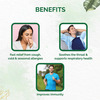 Dr. Vaidya's Kadha Fizz -20 Tablets
